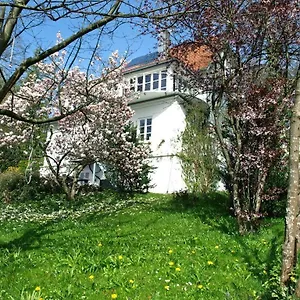 Dausacker Apartment